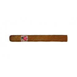 Hoyo de Monterrey Palmas Extra