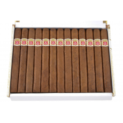 Hoyo de Monterrey Palmas Extra