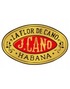 La Flor De Cano Cigars